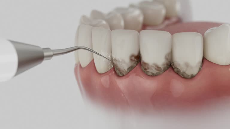 Reliable Dental contractor in Grand Canyon Village, AZ by Dentist Open Now